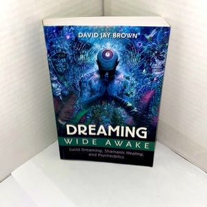 Dreamin Wide Awake By David Jay Brown (Book)